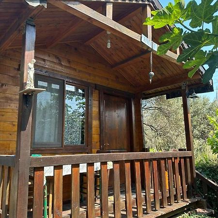 Olimpos Bungalov Apart Aparthotel Balikliova Esterno foto